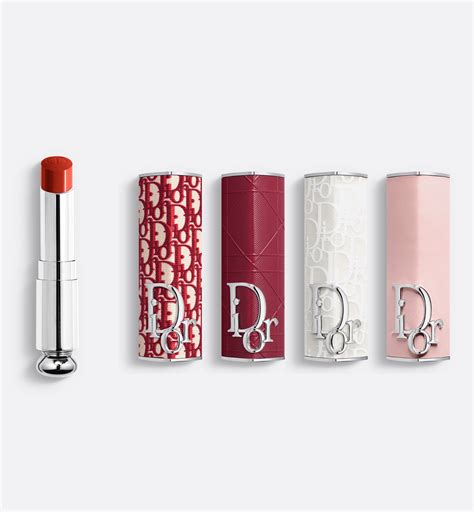 dior リップ ケース|ディオール アディクト リップスティック .